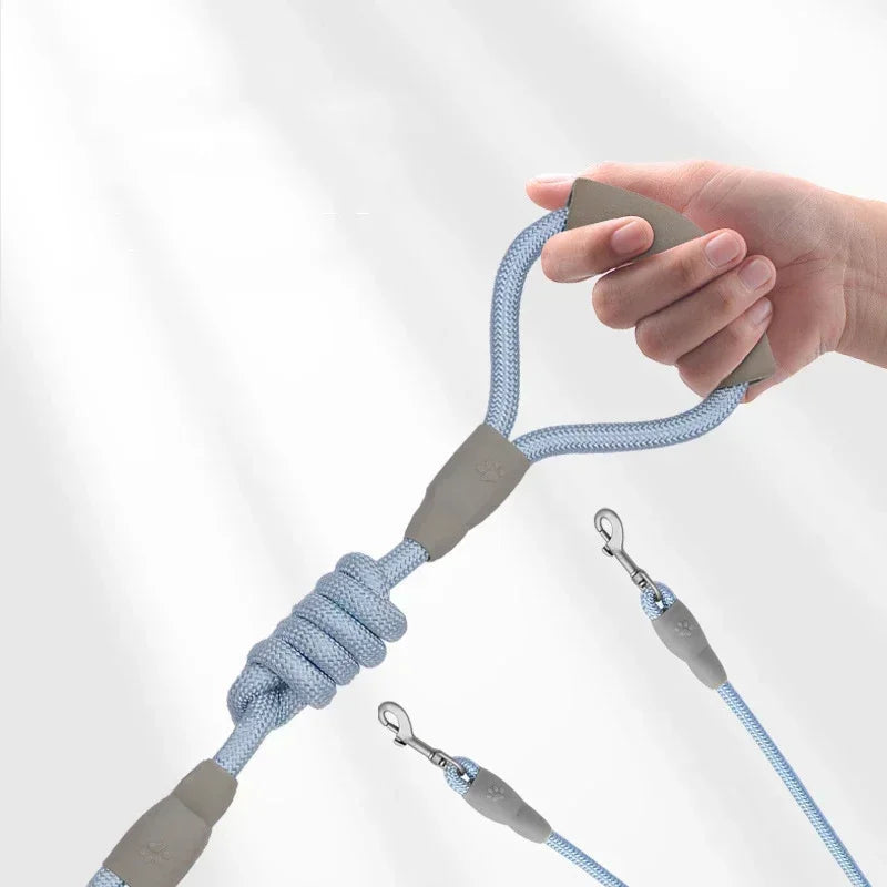 S62ce44f7acc2411abf9f6d69b504cae7B