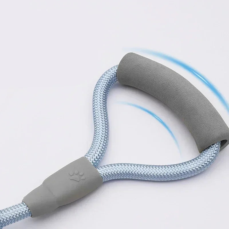 Sa851401b44194994a4e502276a00e0fe3