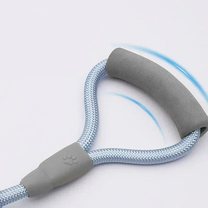 Sa851401b44194994a4e502276a00e0fe3