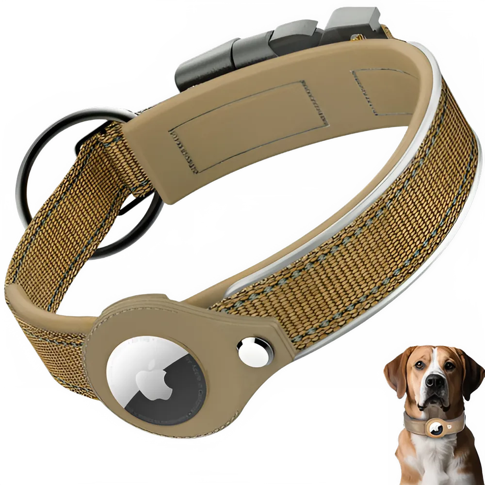 a1cd3a3e-e74f-49c7-8023-7bca77c4678e